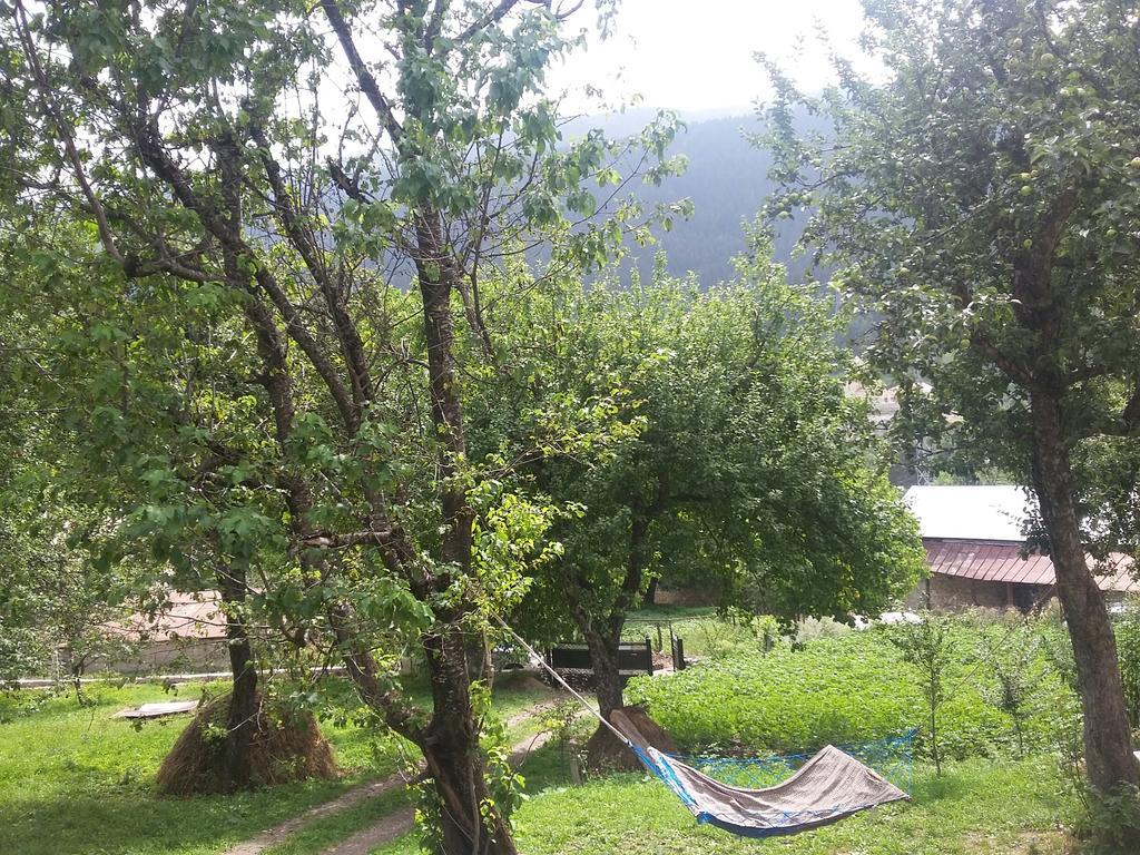 מסטיה Guest House Adelina מראה חיצוני תמונה